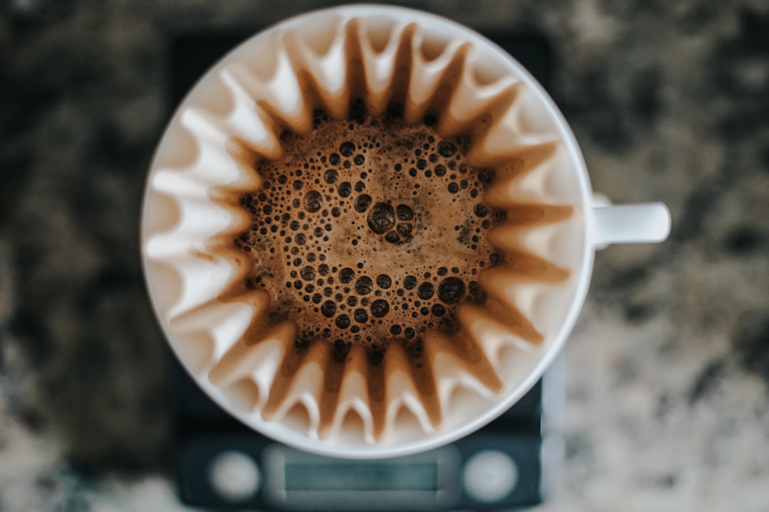 choisir son cafe de filtre au comptoir